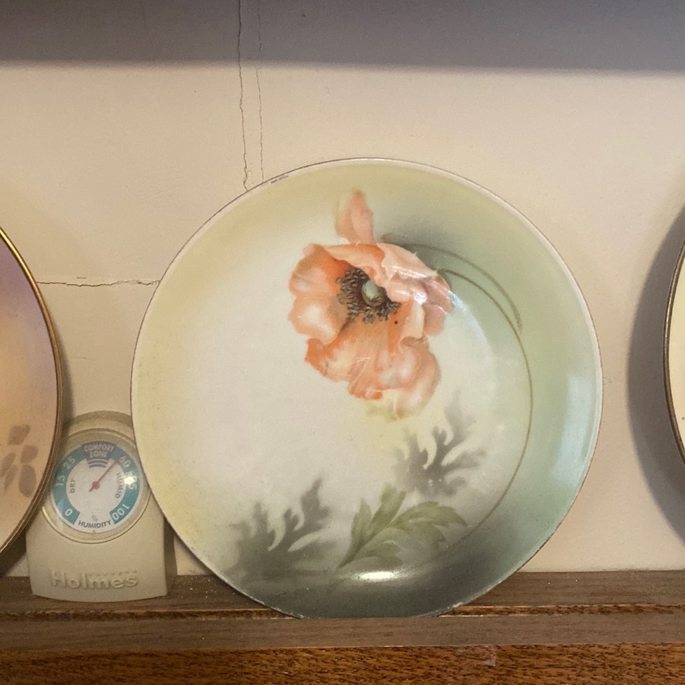 Hand Painted Poppy Plate